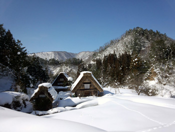 2月26日 下ゴソ?