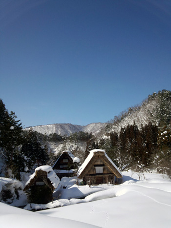 2月26日 下ゴソ?