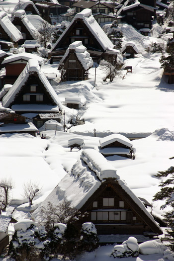白川郷 散策?