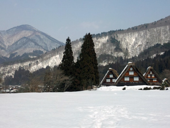 雪の真ん中までイッテ 記念写真 最高