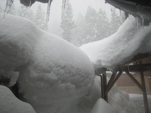 雪