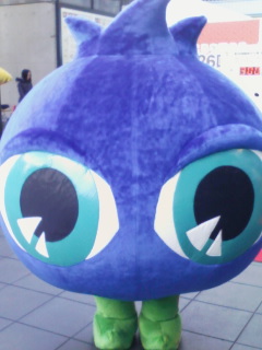 ブルーベリアイ