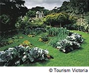 秋のメルボルンの過ごし方1