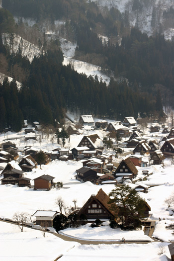 春はやってきてますよー