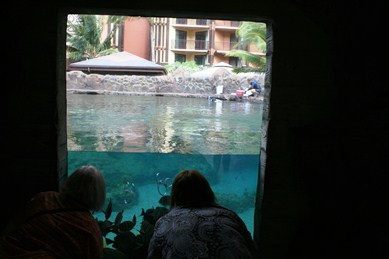 アウラニ・ディズニー・リゾート