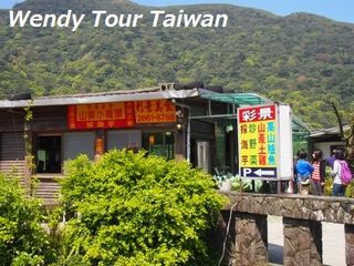 「カラー」(海芋)が見頃です1