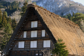 本堂では、京都の東寺や醍醐寺にもある、浜