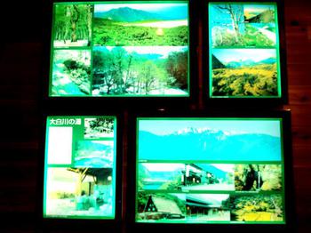 霊峰白山 大白川の情報も