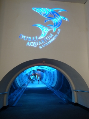 ドバイモール：水族館有料入口