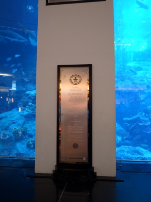 ドバイモール：水族館ギネス
