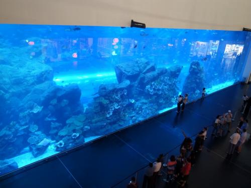 水族館15