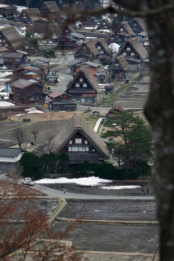 アジサイの咲く写真ポイントから