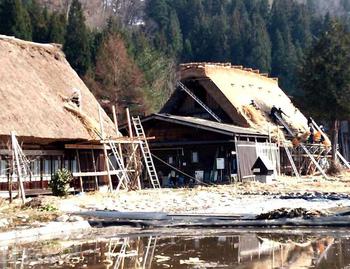 白川郷荻町合掌集落内の屋根の葺き替え作業