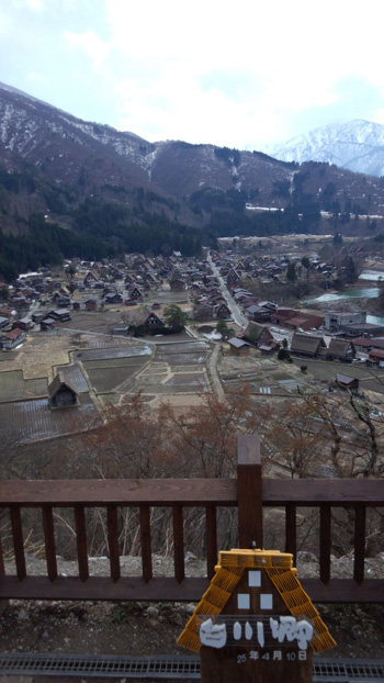 白川郷 天守閣展望台 サクラ開花情報?