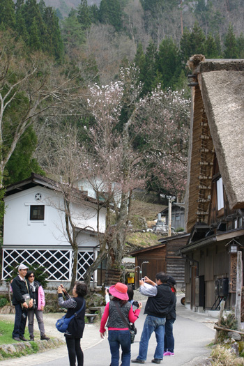 明善寺 本堂を背景に記念写真