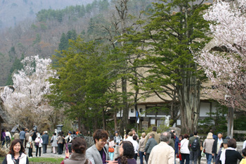 吊り橋を渡って 世界遺産荻町合掌集落を散