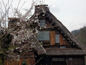 白川郷をグルッと散策