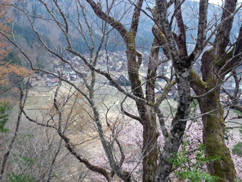 遊歩道 から 見た 白川郷荻町合掌集落