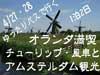■期間限定・特別企画！4/27・28 ゆったりバスで行く！ 
オランダ満喫チューリップ・風車とアムステルダム観光 1泊2日 ■ 
パリ発、一泊二日のツアーです。ちょっと足を延ばしてみませんか？
