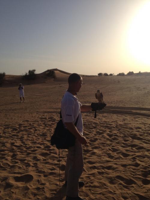 ファルコン使い