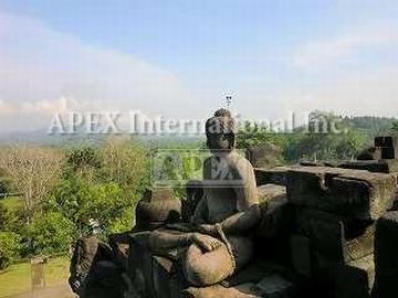 ムラピ山噴火によるボロブドゥール遺跡