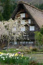 ゴールデンウィーク　後半　白川郷へ?