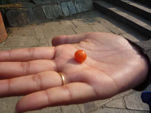 フォトギャラリー15