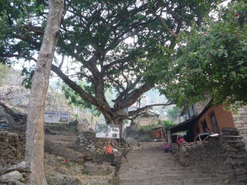 フォトギャラリー18