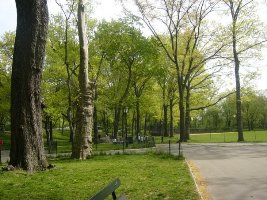 セントラルパーク