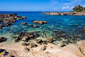 オアフ島の旬を楽しむ