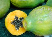 オアフ島の旬を楽しむ