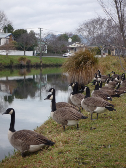 Ｐ６７-０５８Ｆ