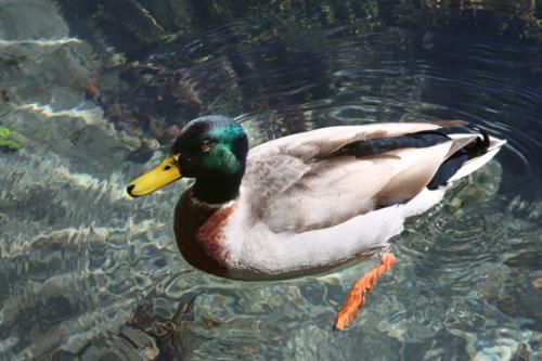 Ｐ３５-０５５Ｆ