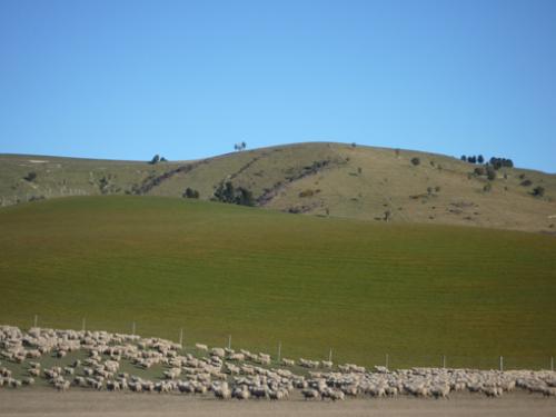 Ｐ６８-０８５Ｆ