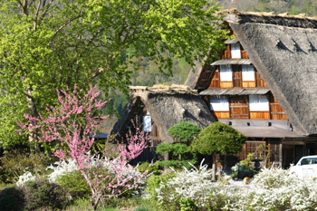 白川郷 かん町 附近 ５月８日?