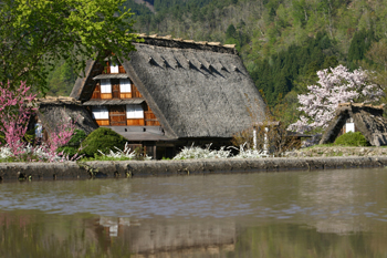 白川郷 かん町 附近 ５月８日?