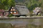 白川郷　かん町　附近　５月８日?