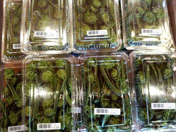 白川郷 山菜 こごみ 道の駅 飛騨白山に