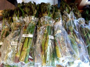 白川郷 山菜 山ウド 道の駅 飛騨白山に