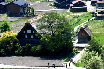 新緑の白川郷を一望