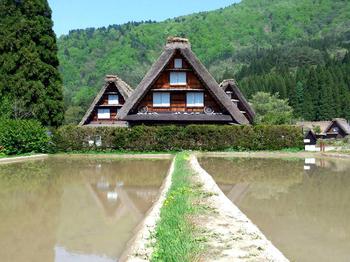 ５月２７日（月）白川郷 田植え祭り ここ