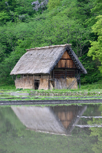 水田に映る逆さ合掌 風景シーズン?