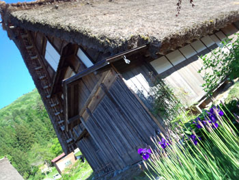 水田に映る逆さ合掌 風景シーズン?