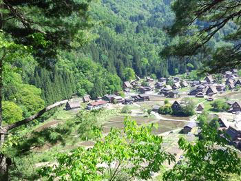 水田に映る逆さ合掌 風景シーズン?
