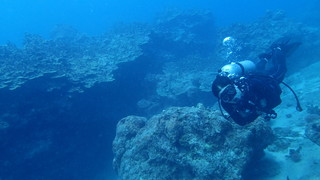 サイパンダイビング