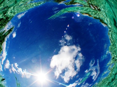 見上げてごらん〜〜