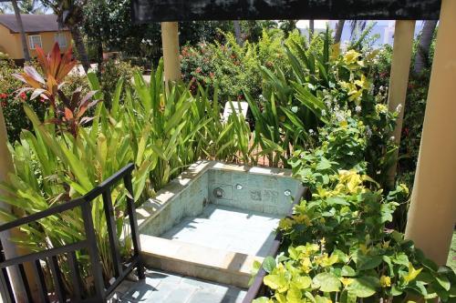 マンディヴィラ、ジャグジー