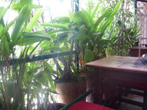 Ｆｉｒｅ ＆ Ｉｃｅ１