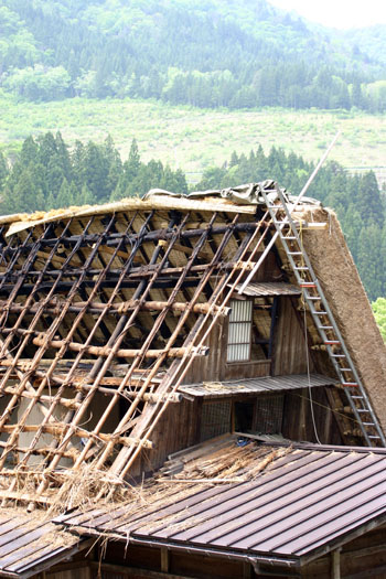 茅葺き屋根の葺き替え?