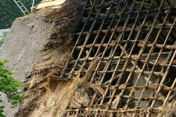 茅葺き屋根の葺き替え?